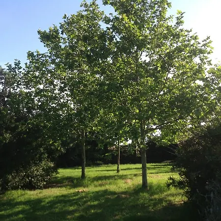 Casa di campagna Agriturismo La Fattoria Del Mortelliccio *