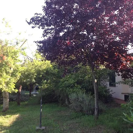 Casa di campagna Agriturismo La Fattoria Del Mortelliccio